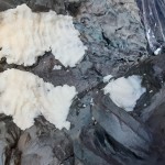 l'eliminazione delle efflorescenze saline