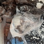 l'eliminazione delle efflorescenze saline