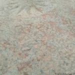 particola del timpano, prima del restauro