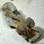 fibula a forma di pavone