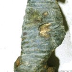 fibula dopo il restauro