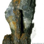 retro della fibula dopo il restauro