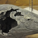 Airone da giardino, prima del restauro