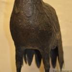 ricostruzione del petto